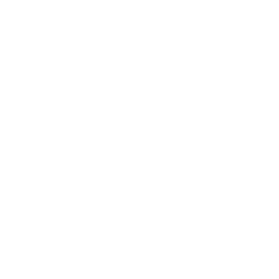 協助成員發揮天賦