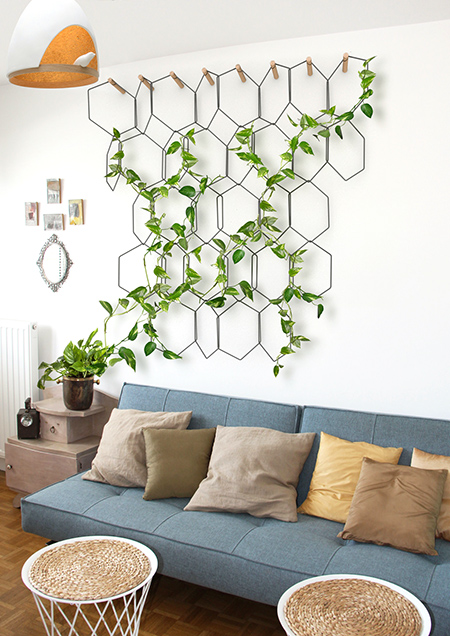 室內綠化飛簷走壁懸掛植物-7