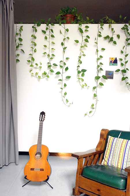 室內綠化飛簷走壁懸掛植物-8