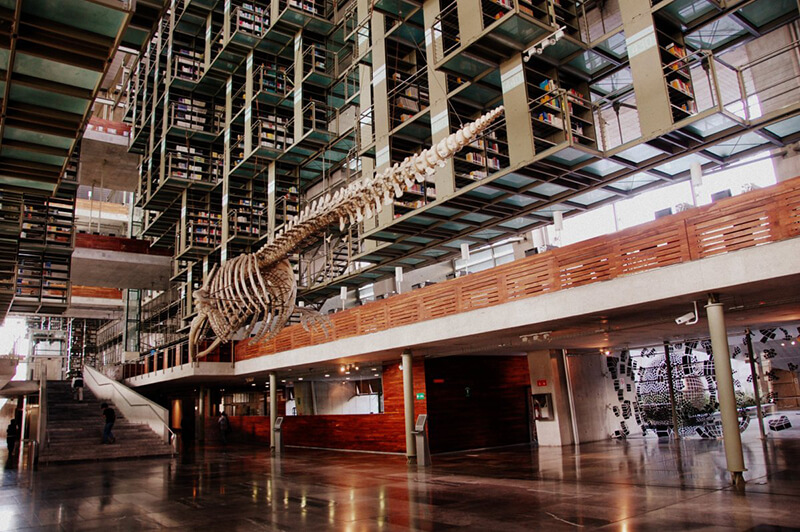 墨西哥巴斯孔塞洛斯圖書館